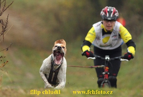 Tri studne podzim 08 - 077.jpg
